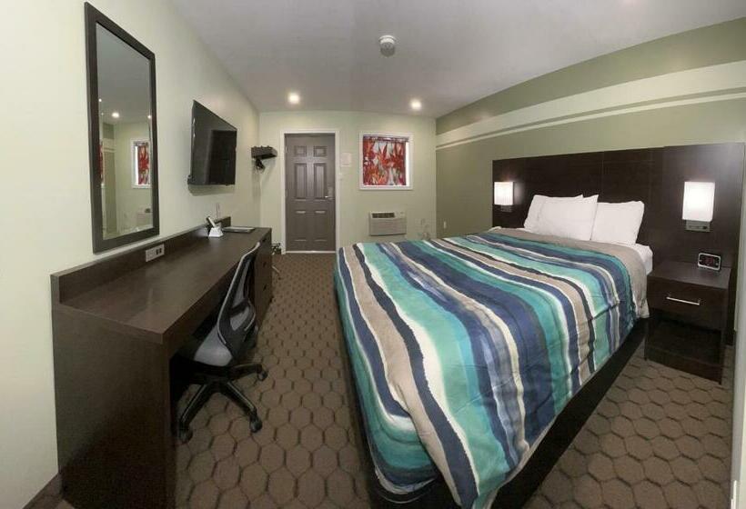 فندق على الطريق Budget Inn