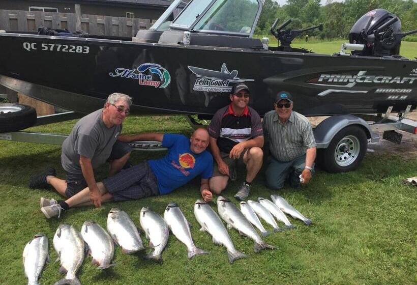 فندق على الطريق Budget Inn