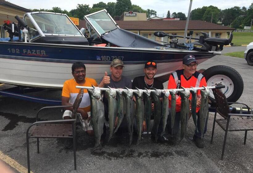 فندق على الطريق Budget Inn