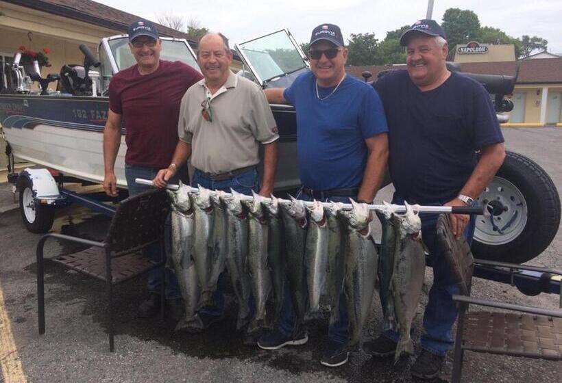 فندق على الطريق Budget Inn