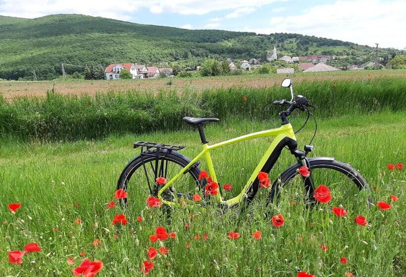 פנסיון E Tekergők Háza