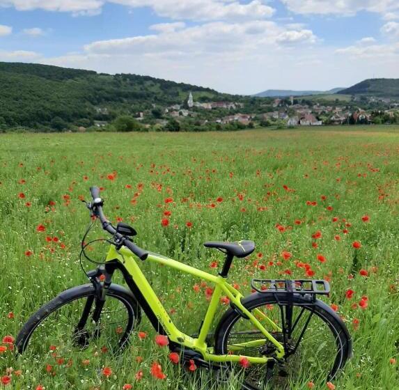 פנסיון E Tekergők Háza