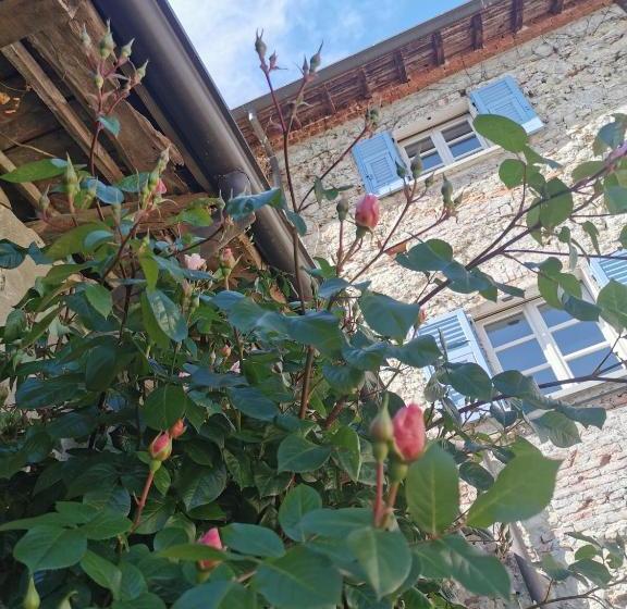 膳宿费 Tenuta San Giorgio