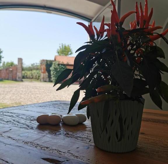 膳宿费 Tenuta San Giorgio