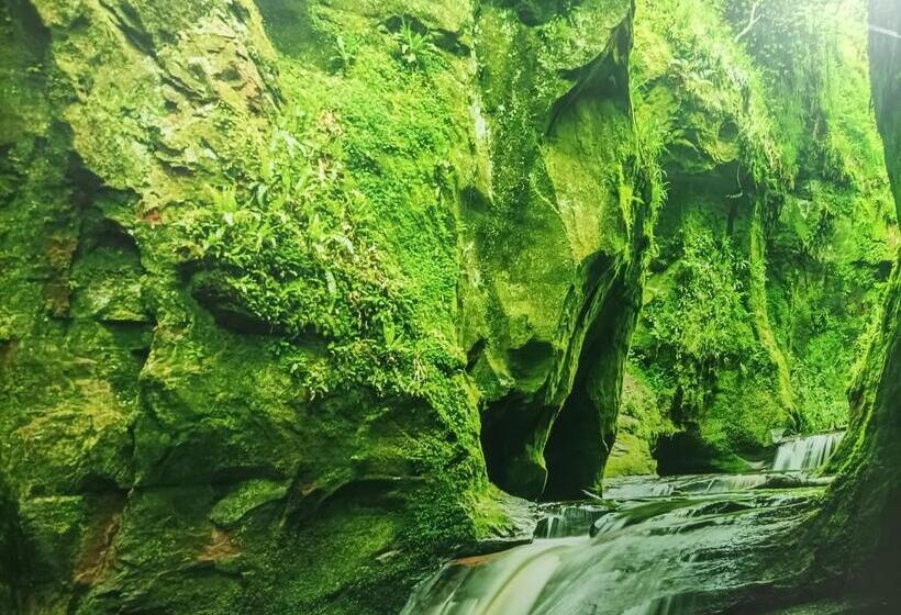 Pension (Hôtel basse catégorie) Hostal El Bosque Encantado Toledo