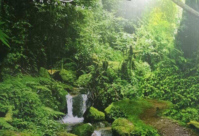 膳宿费 Hostal El Bosque Encantado Toledo