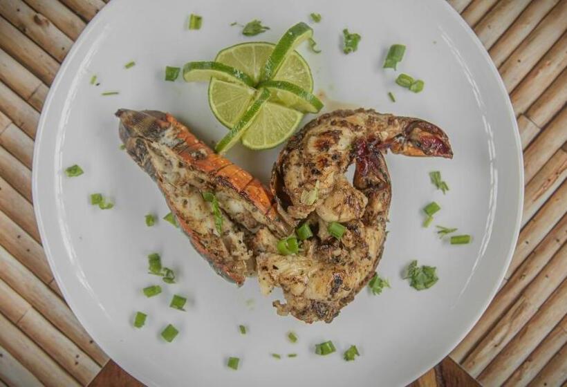 膳宿费 Pousada Cenário Ideal