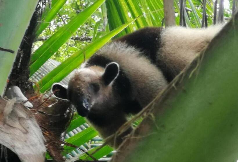 پانسیون Surá House Corcovado Habitación Big