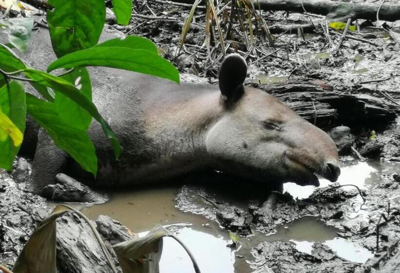 پانسیون Surá House Corcovado Habitación Big