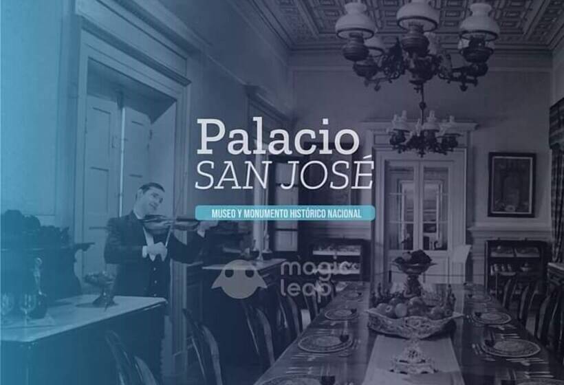 Casa Del Arbol Hostel