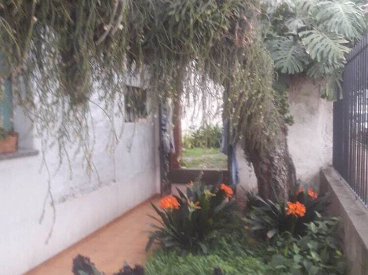 Casa Del Arbol Hostel