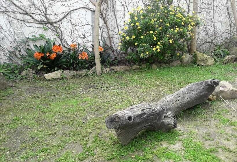 Casa Del Arbol Hostel