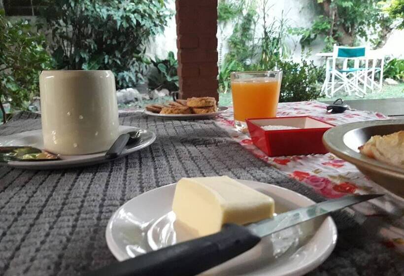 Casa Del Arbol Hostel