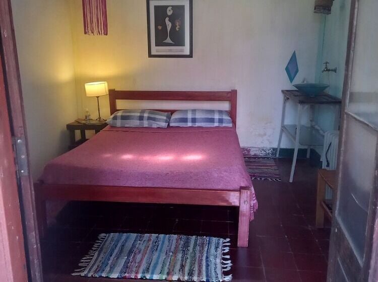 Casa Del Arbol Hostel