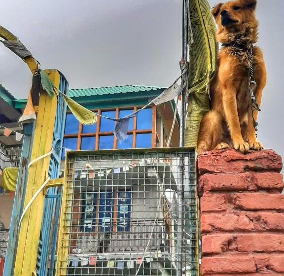 旅馆 Lap Stays   Wanderer S Nest