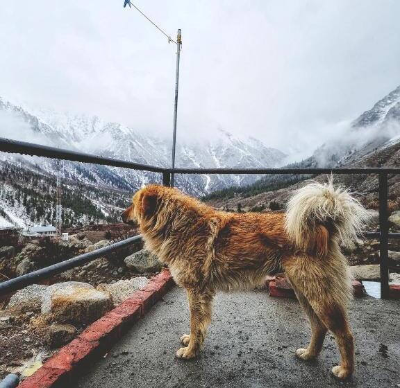 旅馆 Lap Stays   Wanderer S Nest