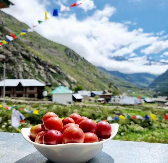 旅馆 Lap Stays   Wanderer S Nest