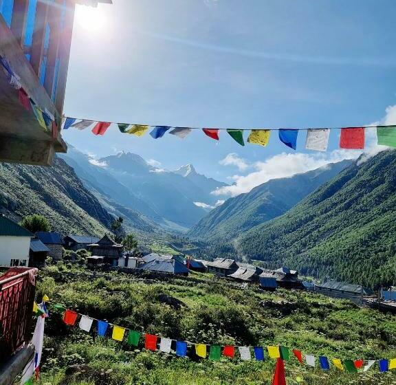 旅馆 Lap Stays   Wanderer S Nest