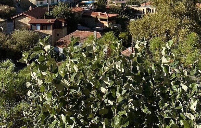 민박 Arıklı Han Kazdağları