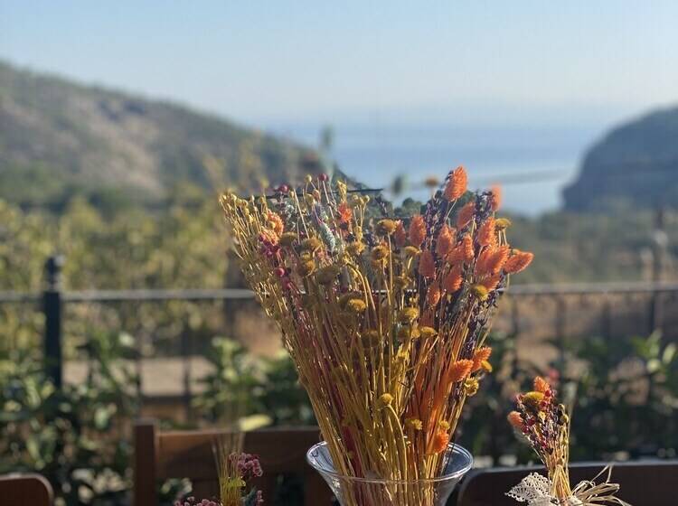 민박 Arıklı Han Kazdağları