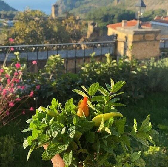 민박 Arıklı Han Kazdağları