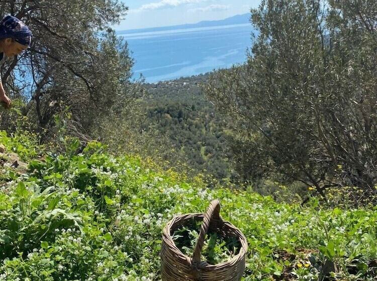 민박 Arıklı Han Kazdağları