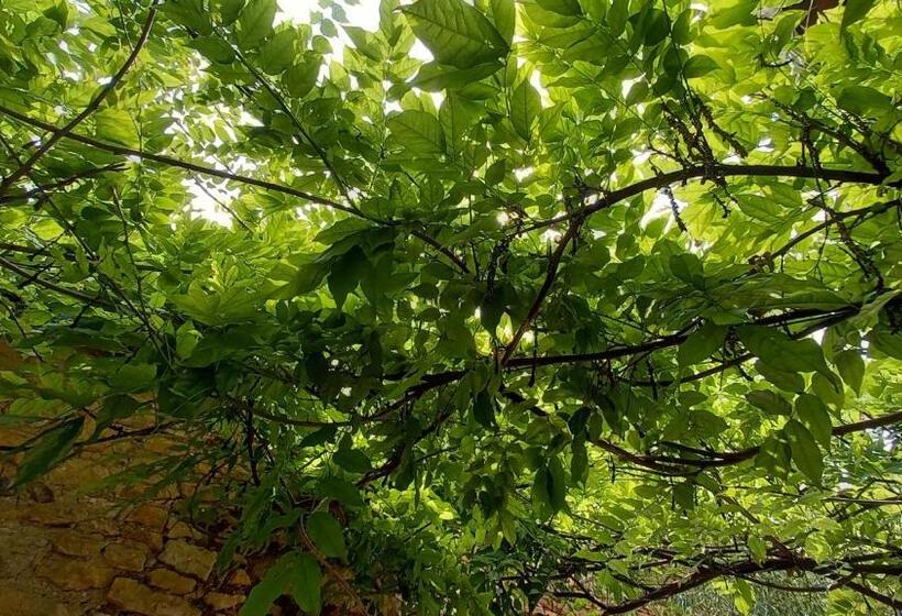 민박 La Terre Doree