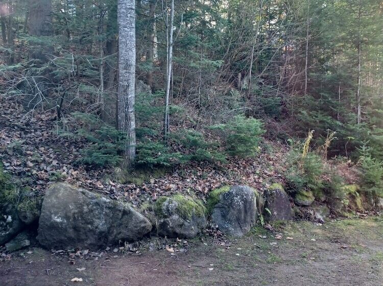 צימר La Vie Est Belle