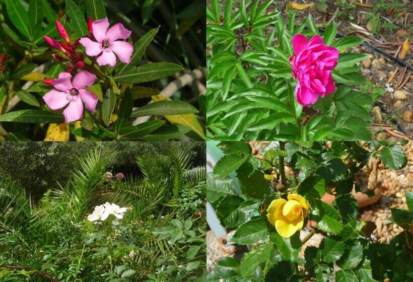 مبيت وإفطار Villa Des Masques