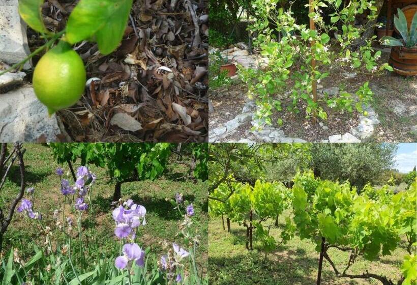 مبيت وإفطار Villa Des Masques