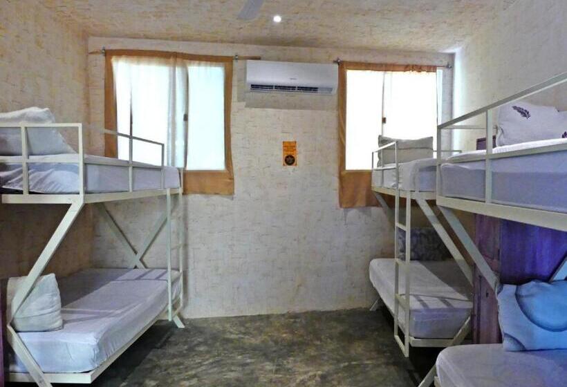 הוסטל Valladolid 48 Hotel & Hostal