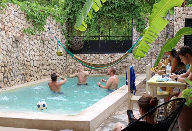 הוסטל Valladolid 48 Hotel & Hostal