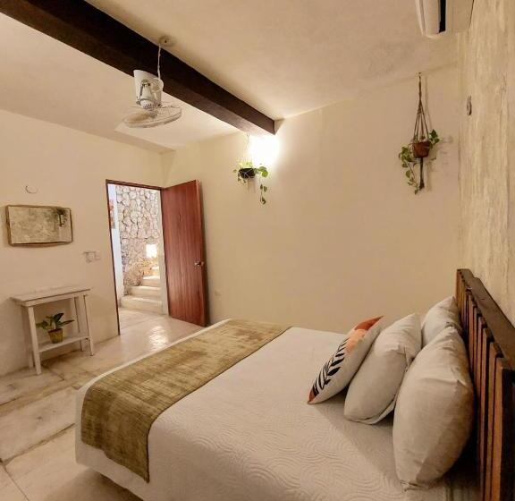 הוסטל Valladolid 48 Hotel & Hostal