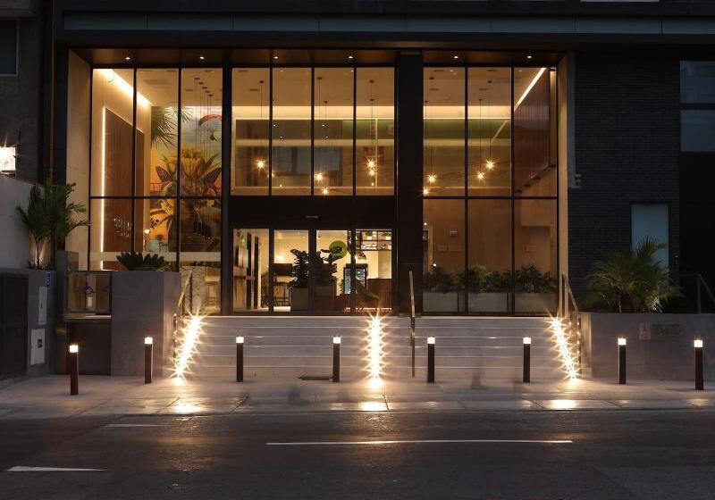 هتل Casa Andina Standard Benavides