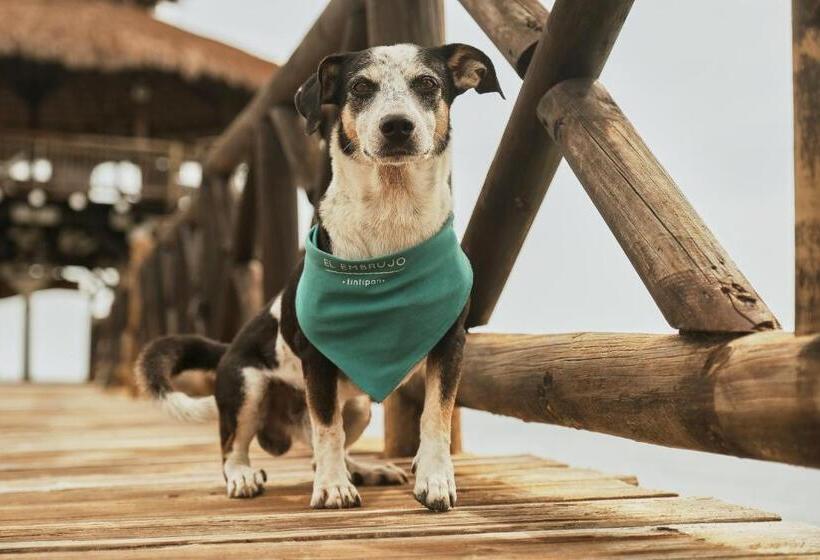 בית מלון כפרי El Embrujo Tintipan