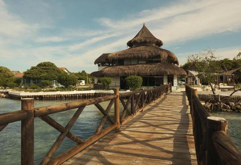 בית מלון כפרי El Embrujo Tintipan