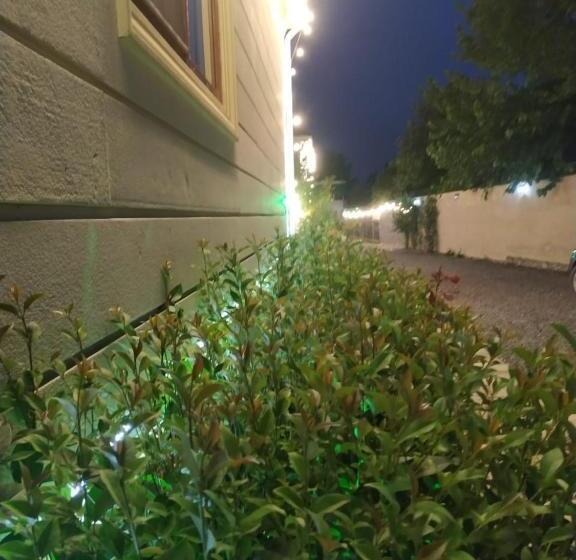 هتل Fortuna Boutique