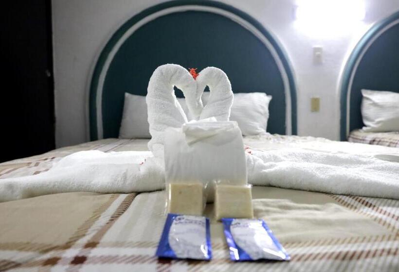 酒店 Hc International By R&t