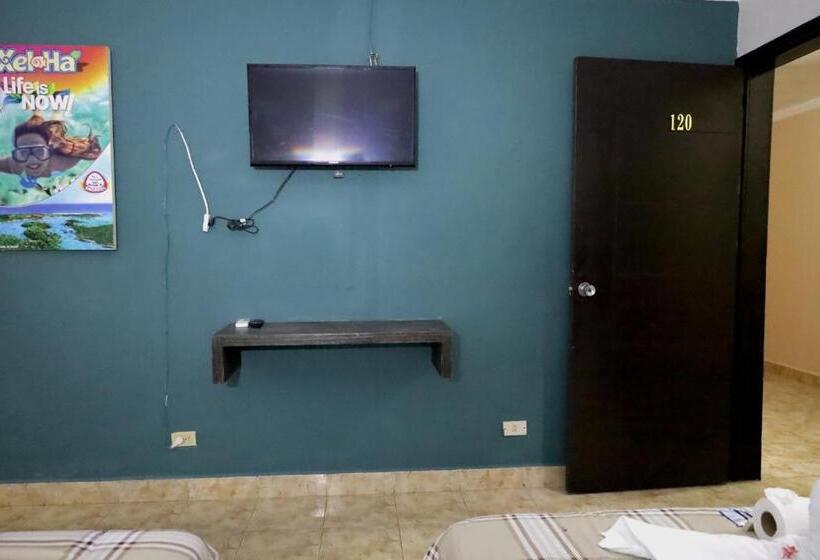 酒店 Hc International By R&t