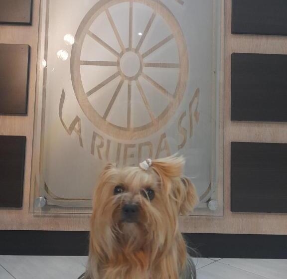 בית מלון כפרי La Rueda Sr