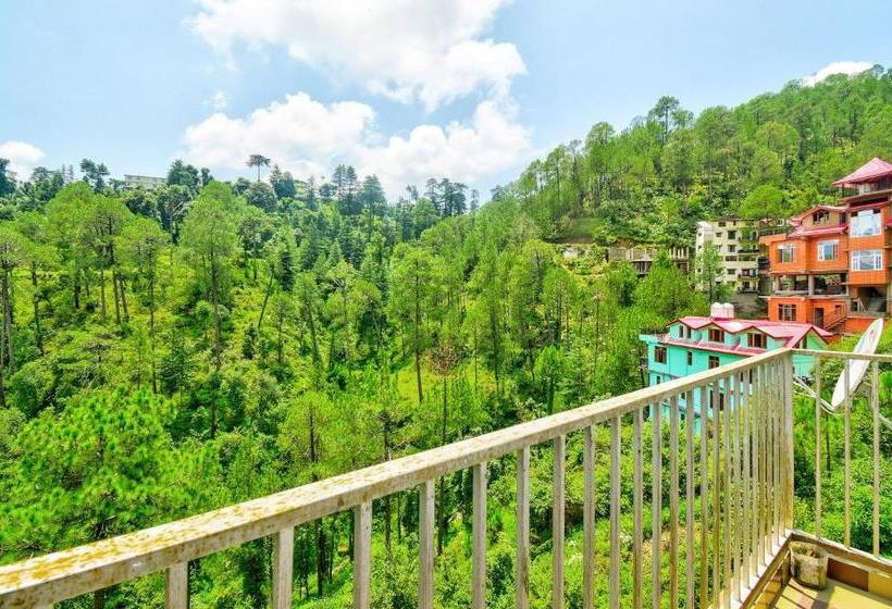 酒店 Oyo 46779 Moksh Villa