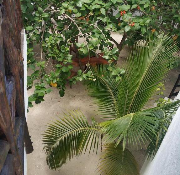 فندق Posada Yalekin Holbox