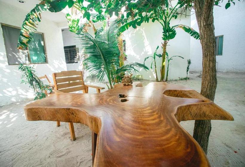 فندق Posada Yalekin Holbox