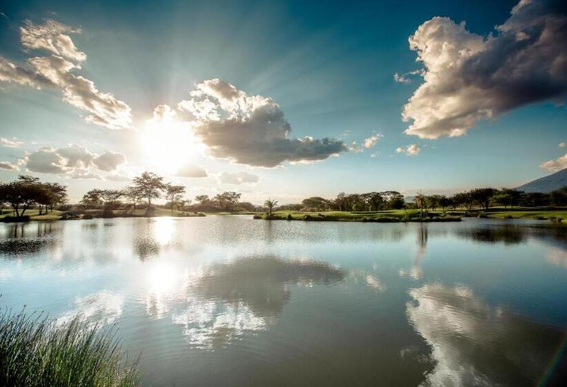 호텔 The Safari House