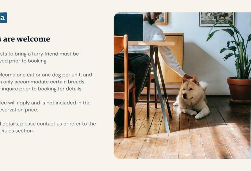 Kasa Arts District Winston Salem