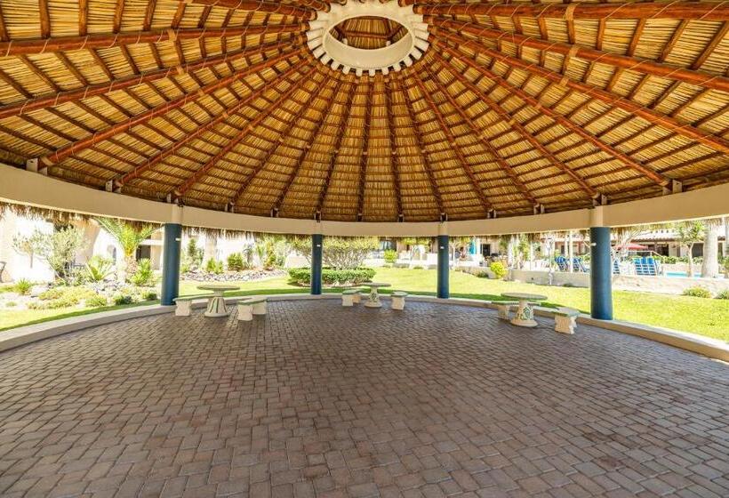 Marina Pinacate C 519