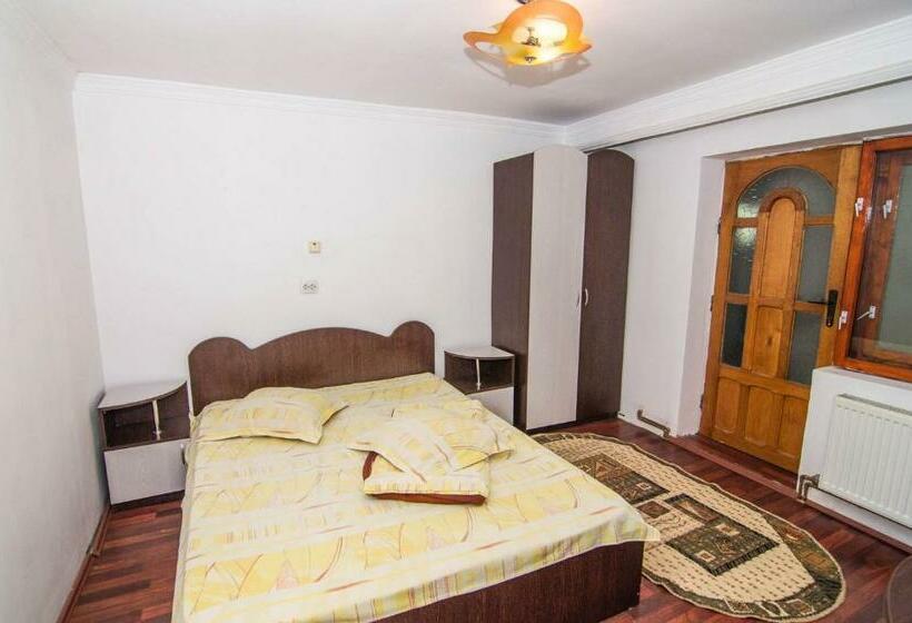 Пансион Casa Olanesti