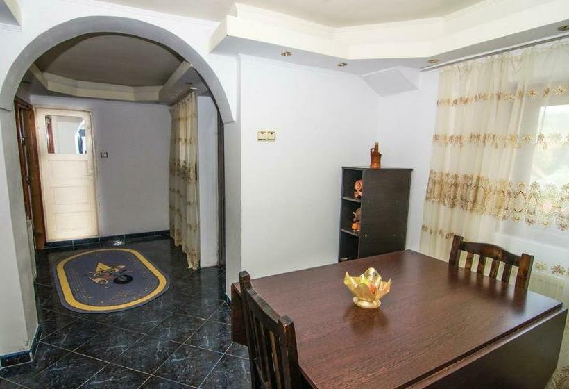 Пансион Casa Olanesti