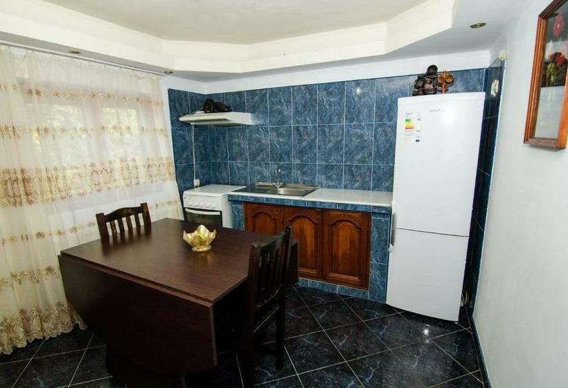 Пансион Casa Olanesti