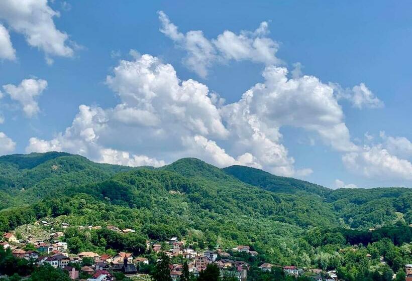 Пансион Casa Olanesti